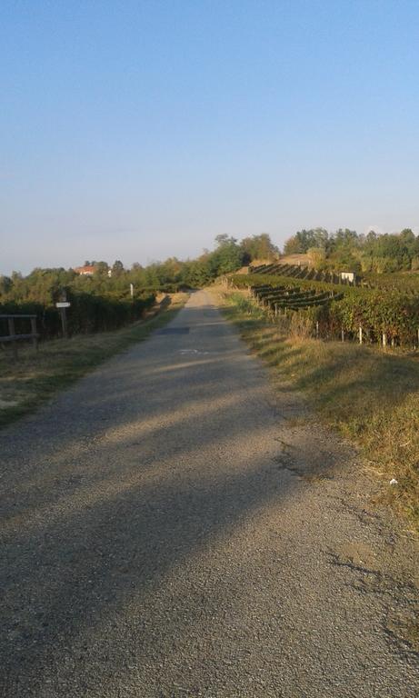 Vista Sul Patrimonio Dell'Unesco Cortiglione エクステリア 写真