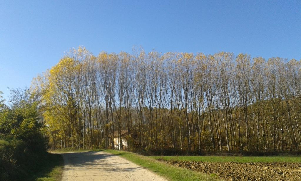 Vista Sul Patrimonio Dell'Unesco Cortiglione エクステリア 写真
